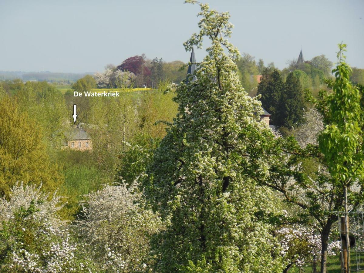 De Waterkriek Villa Borgloon Bagian luar foto